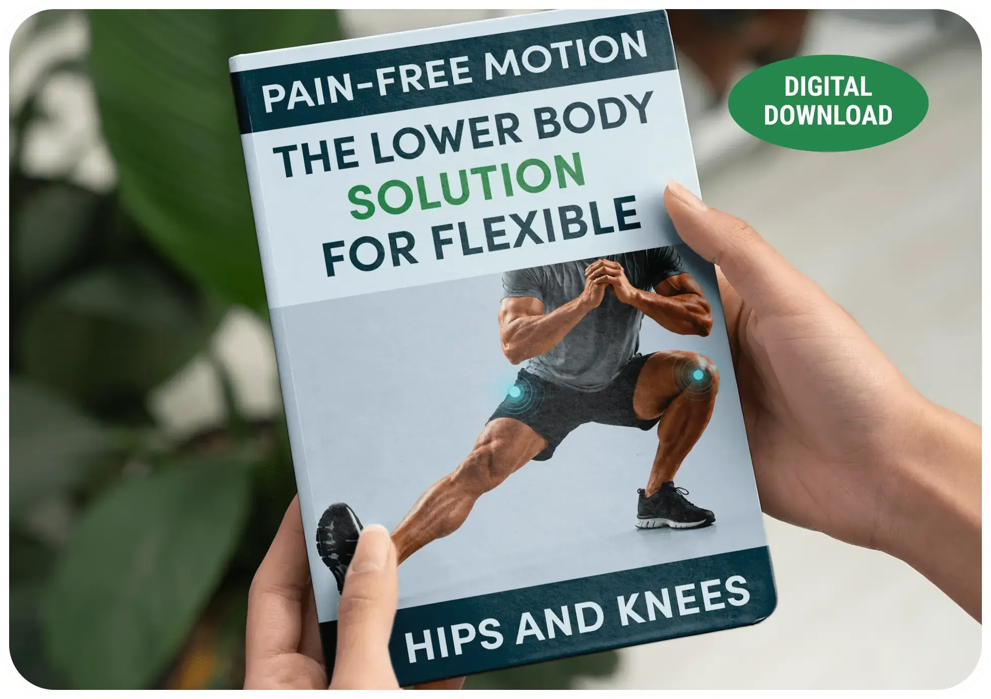 Pain-Free Motion digital bonus guide cover